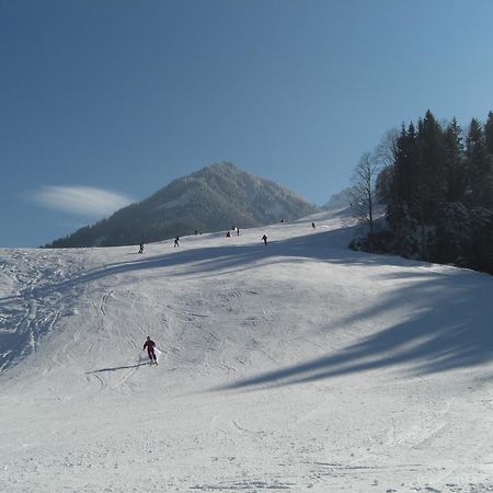 Tirolerhaus Daire Walchsee Dış mekan fotoğraf