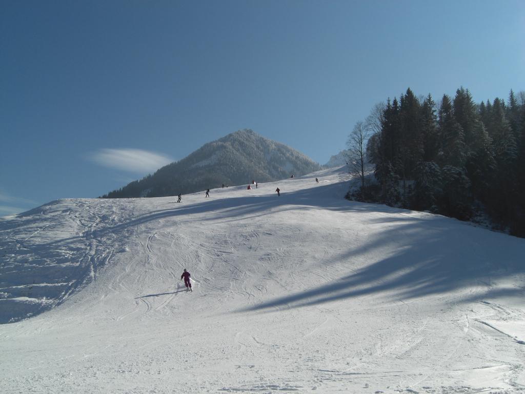 Tirolerhaus Daire Walchsee Dış mekan fotoğraf